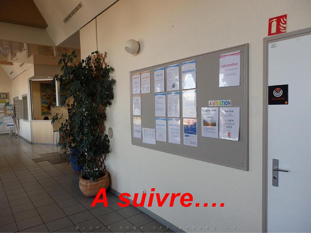 183 HYERES ET SES PALMIERS D13_000057.jpg